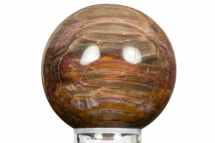 Colorful Petrified Wood (Araucaria) Sphere - Madagascar #323600